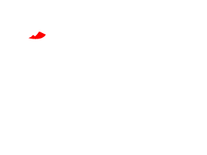 M Pesa